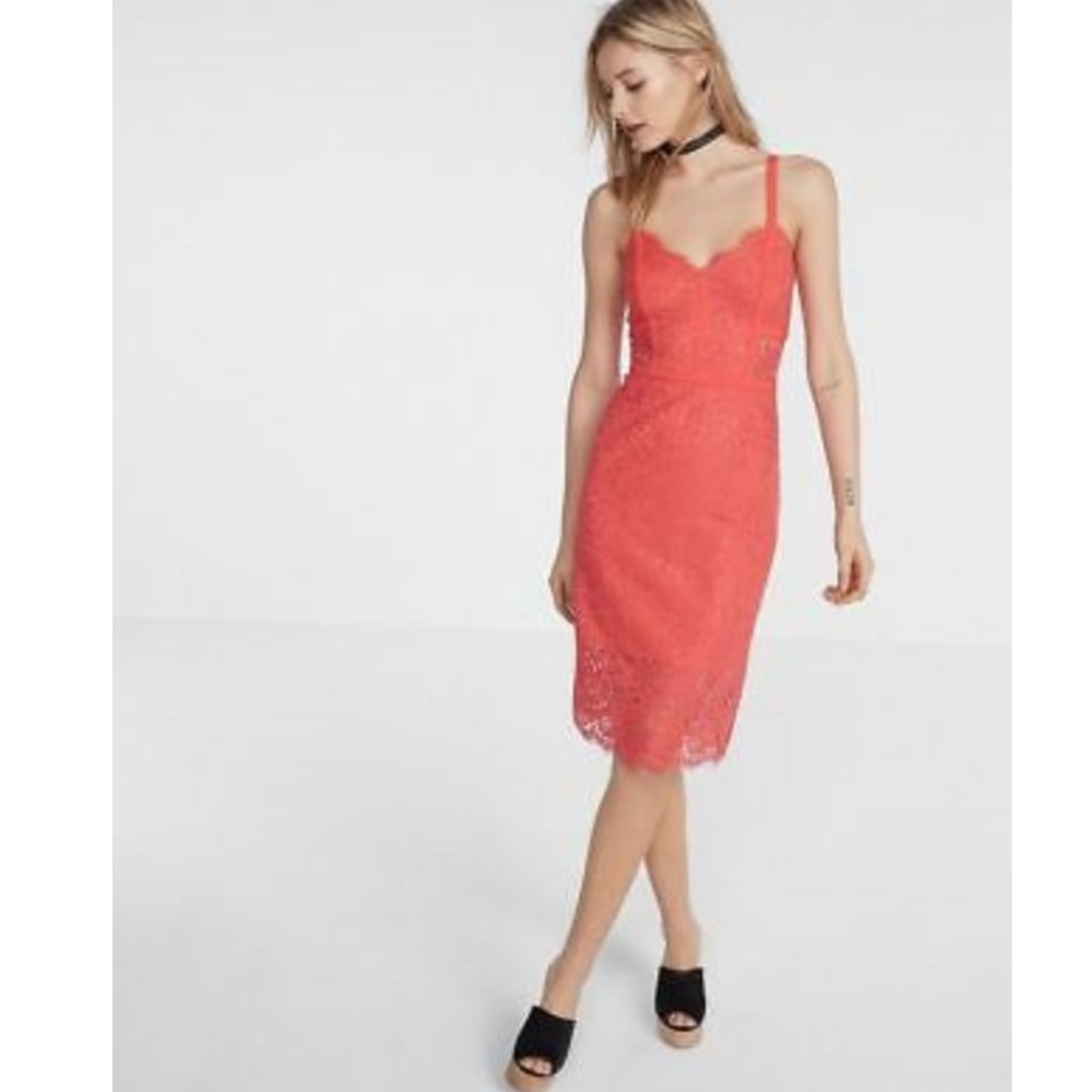 Express Harvest Red Piped Lace Sheath Dress NWT